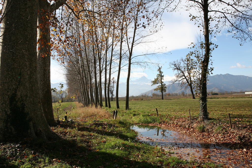 Вилла Agriturismo La Virginia Revello Экстерьер фото